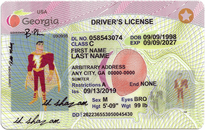 Georgia ID